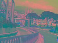 IMGP2821 edited (Medium)